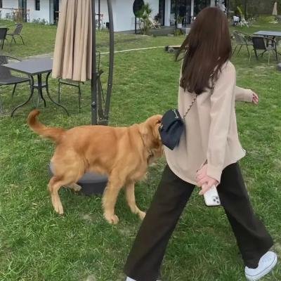 火线第二季